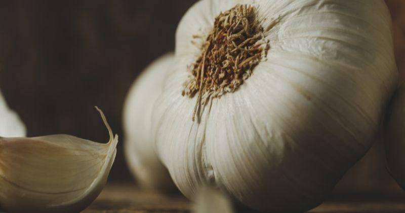 Freepik/Racool_studio